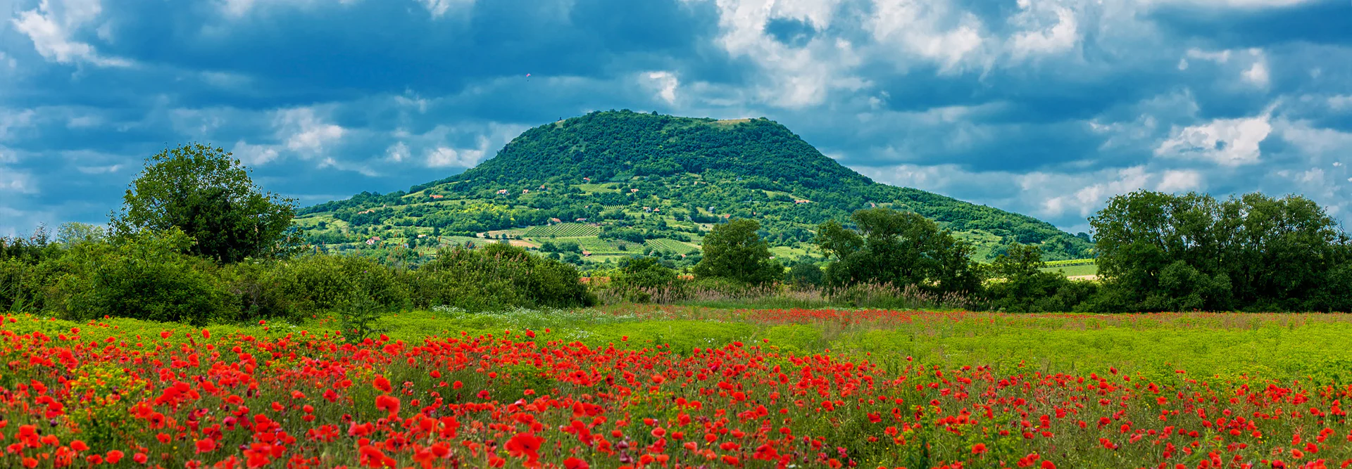 Authentic Flavors of Hungary